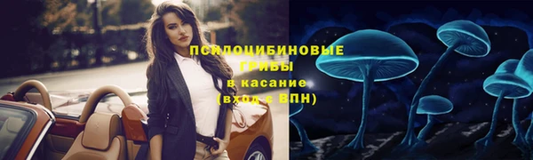 твердый Алзамай