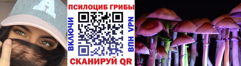 Псилоцибиновые грибы мицелий  Новочеркасск 