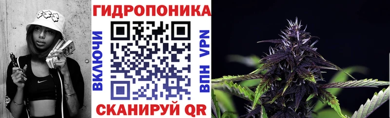 Каннабис сатива Новочеркасск