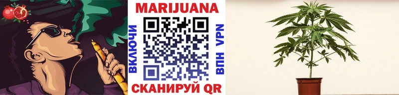 даркнет сайт  гидра сайт  Шишки марихуана White Widow  Новочеркасск 